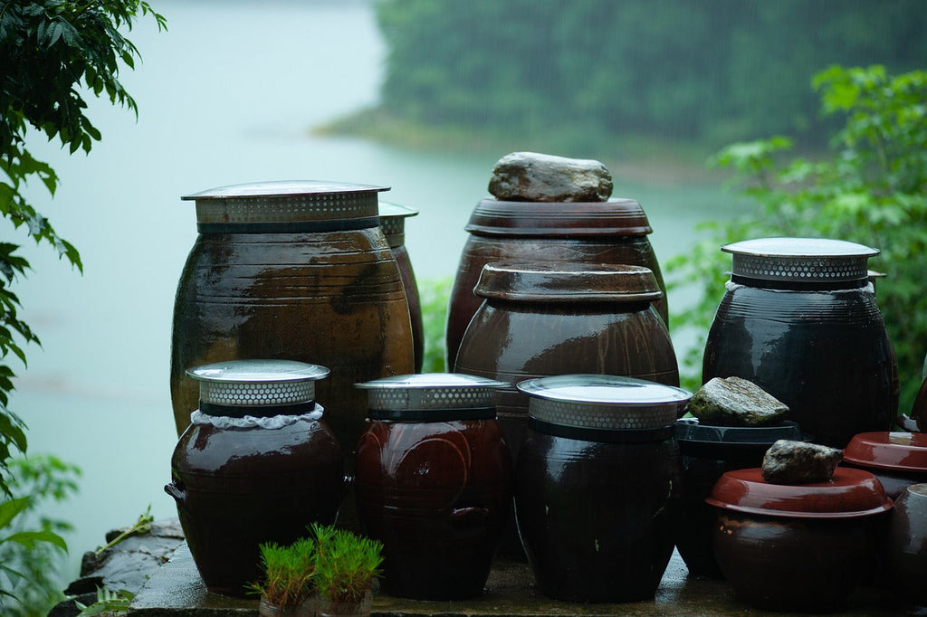 Jangdokdae: Preserving Korea’s Art of Fermentation |