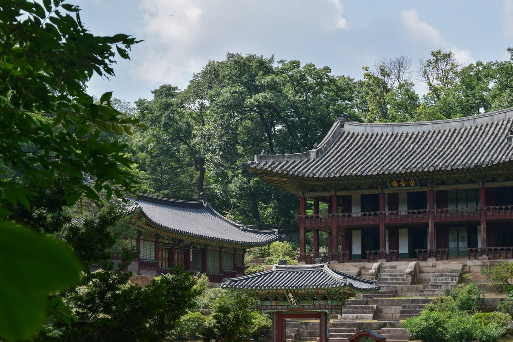 Seoul's Green Revolution: A Thousand Gardens Blooming