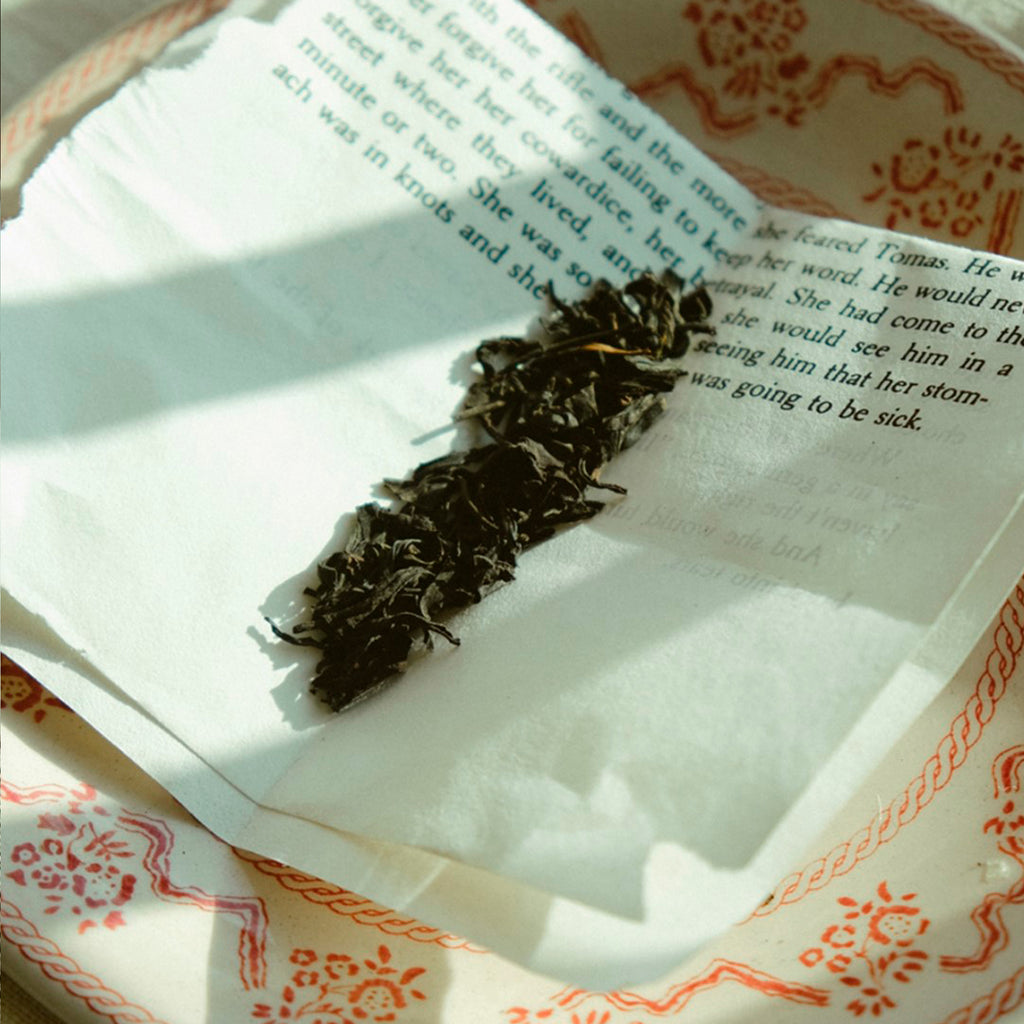 Suncheon Master fermented Black tea | T_T | Uncategorized | Chasigan